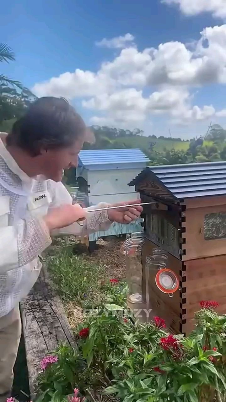 Белый шум в LOOKY. . 