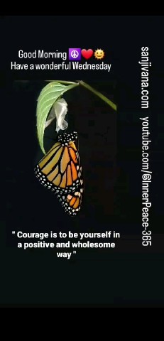 sanjivana com в LOOKY. #courage,#motivation,#meditation,#guidedmeditation,#qoutes,#everyone,#followers. sanjivana.com
youtub...