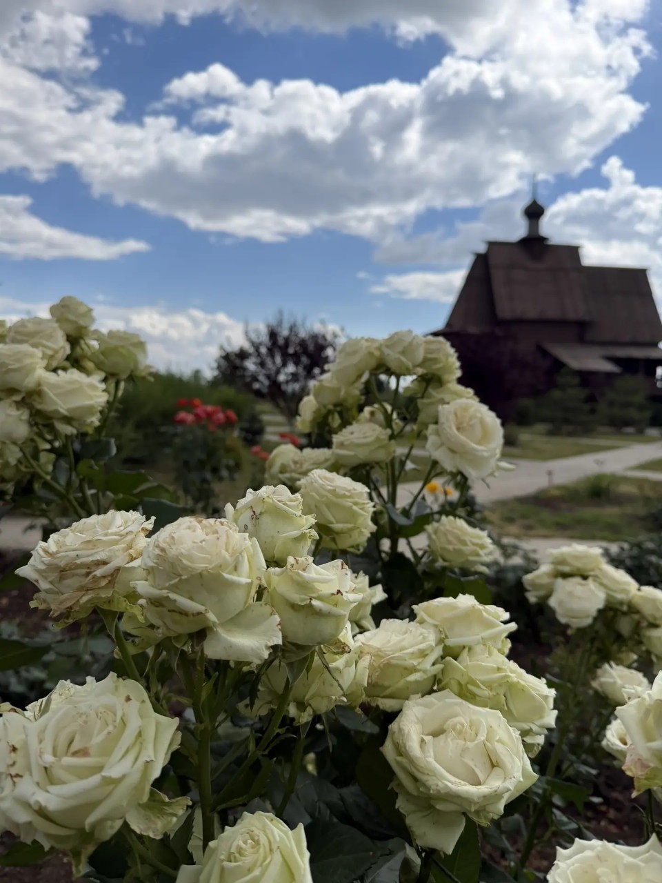 лунный ветер в LOOKY — Воскресенье ⛪