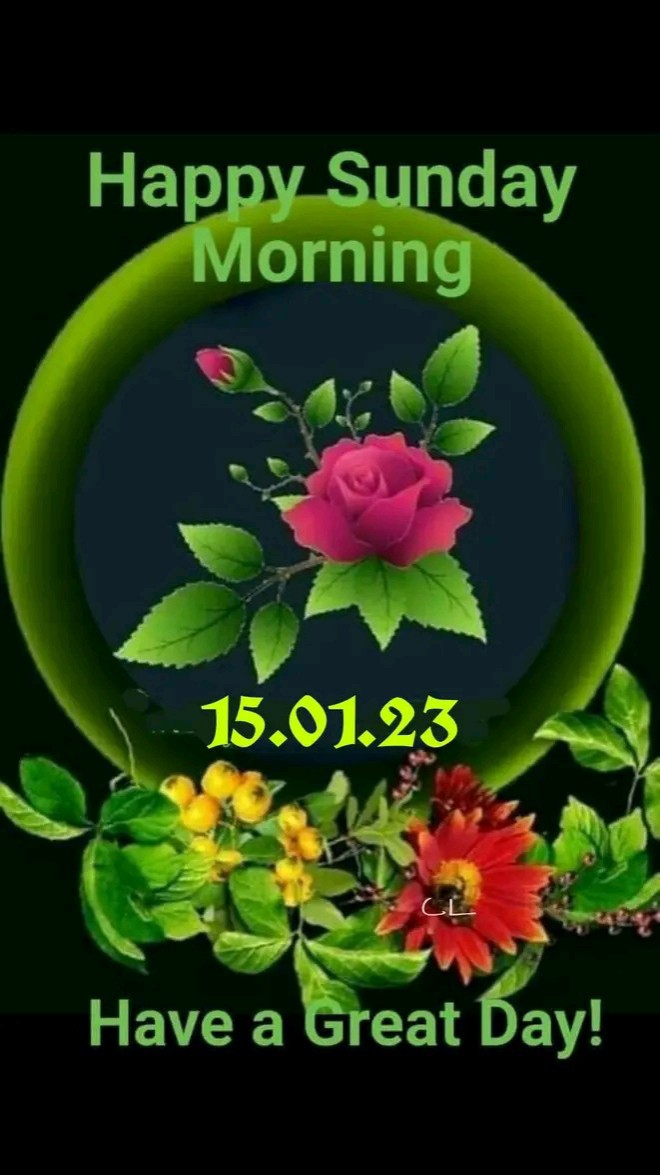 Looky_1693467048155 в LOOKY — фото 5