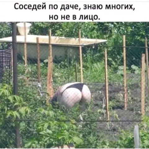 Looky_1696022253916 в LOOKY. #юмор. #юмор