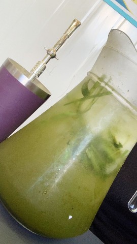 Looky_1692556844948 в LOOKY. . Terere tradicion del...