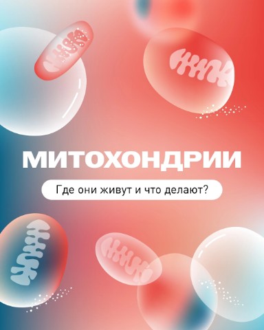 Ольга Мегеря в LOOKY. . Такие загадочные мит...