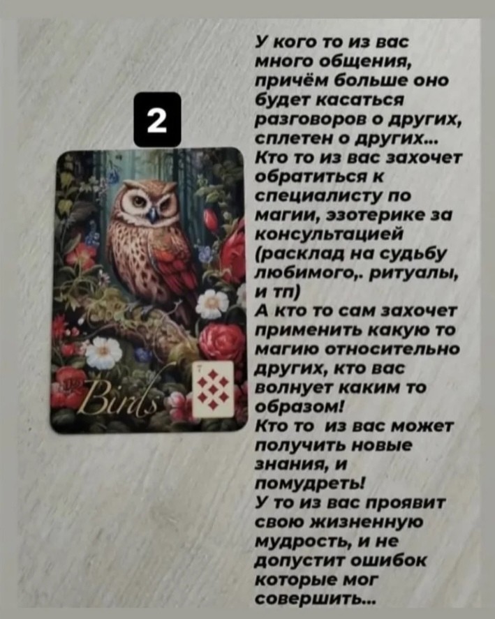 Таролог  Рена Эльф в LOOKY — фото 4