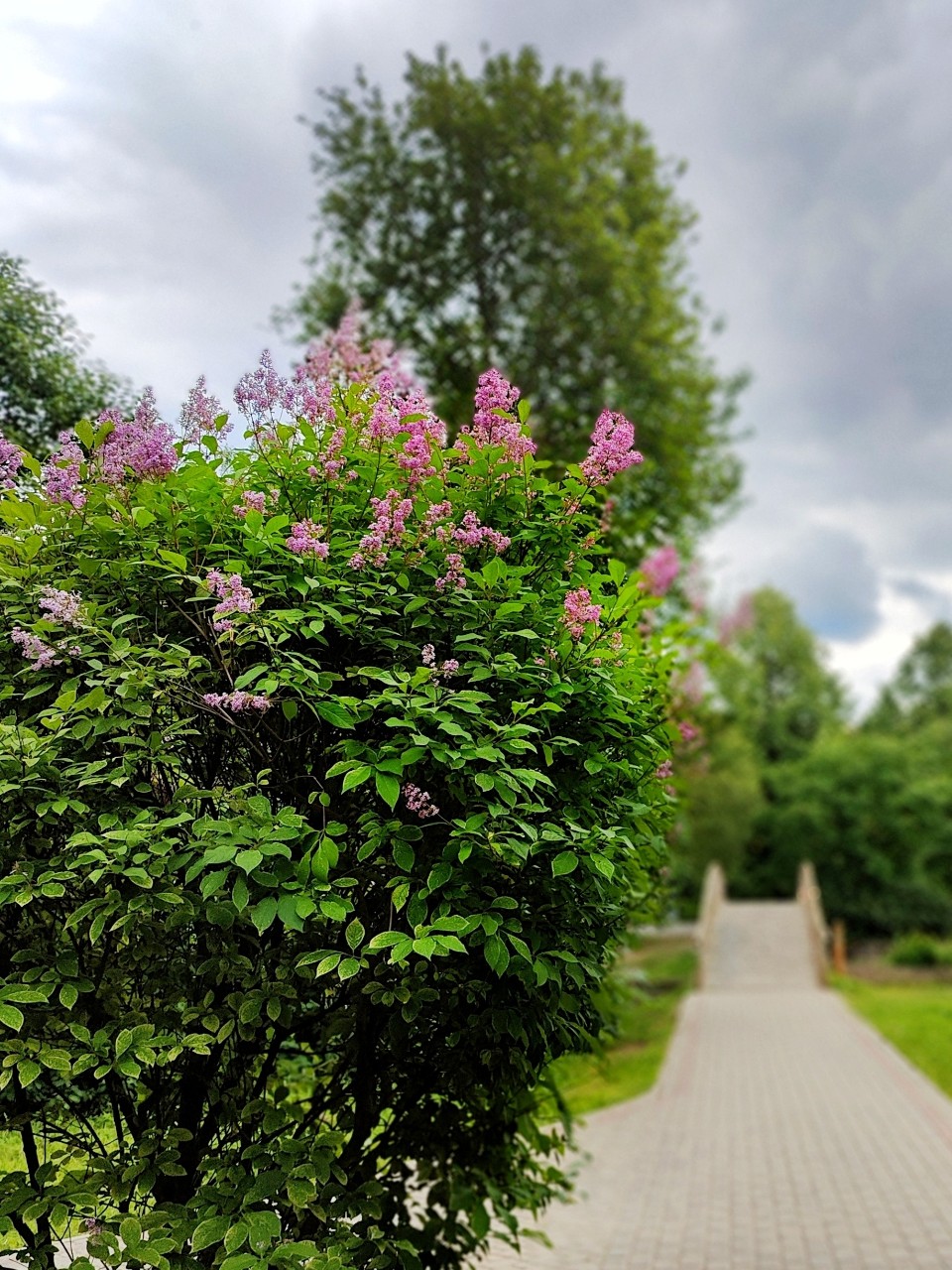 Виктор в LOOKY. #лето
#карелия,#karelia,#karjala,#живувкарелии,#летовпетрозаводске
#petroskoi,#petrozavodsk,#петрозаводск,#природа,#природакарелии,#photonature,#naturephoto
#looky,#looky_official,#LOOKY_контент,#looky_you,#you,#looky_топ. Карелия💮Karjala
Пет...