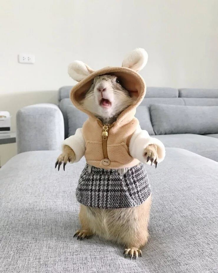 Милашка😍😍😍😍 
Фото не моë