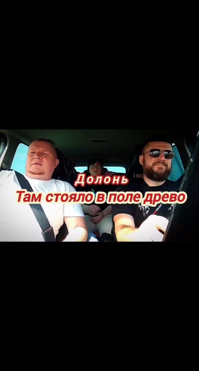 По дороге на Алтай.. 

ДОЛÓНЬ - ТАМ СТОЯЛО В ПОЛЕ ДРЕВО