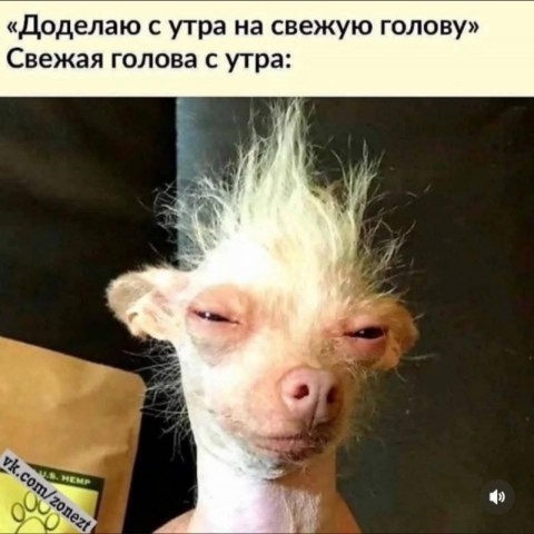 korovayshka в LOOKY. . 