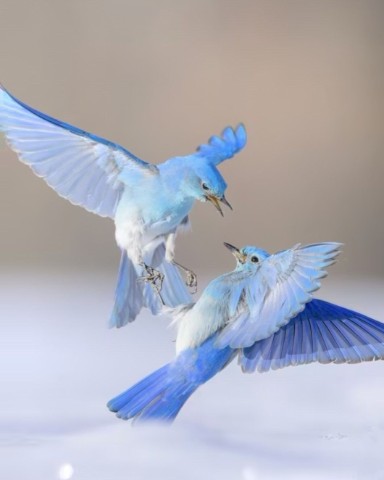 AngeLocnek543 в LOOKY. . 
