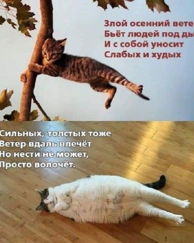_natroyanchik_ в LOOKY. . Ни убавить, ни приба...