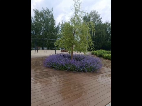 Красота в коломенское