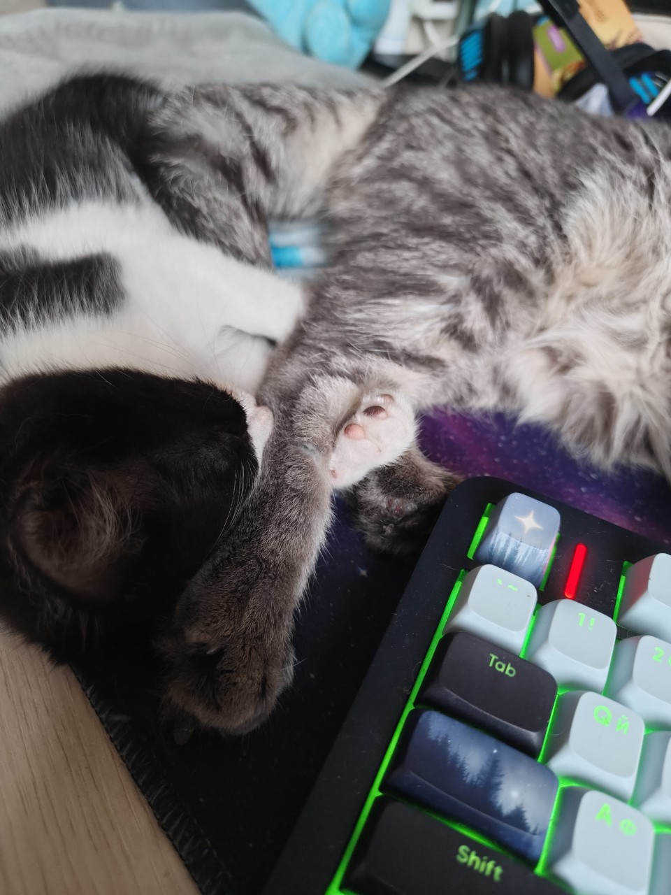  в LOOKY — Играл игра... Устал😴