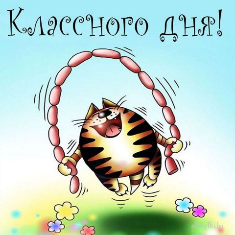 Looky_172392429941354 в LOOKY. . 