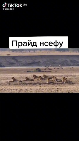 Looky_1720874887985 в LOOKY. . 
