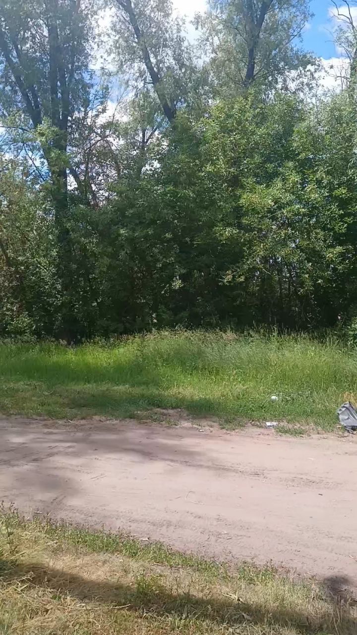 Цытаты Майкла в LOOKY — Лес