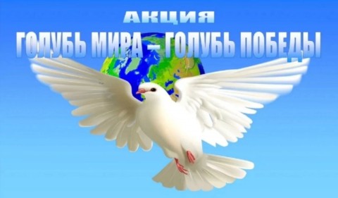 michur_bibl в LOOKY. #ГолубьМираГолубьПобеды. #ГолубьМираГолубьПоб...