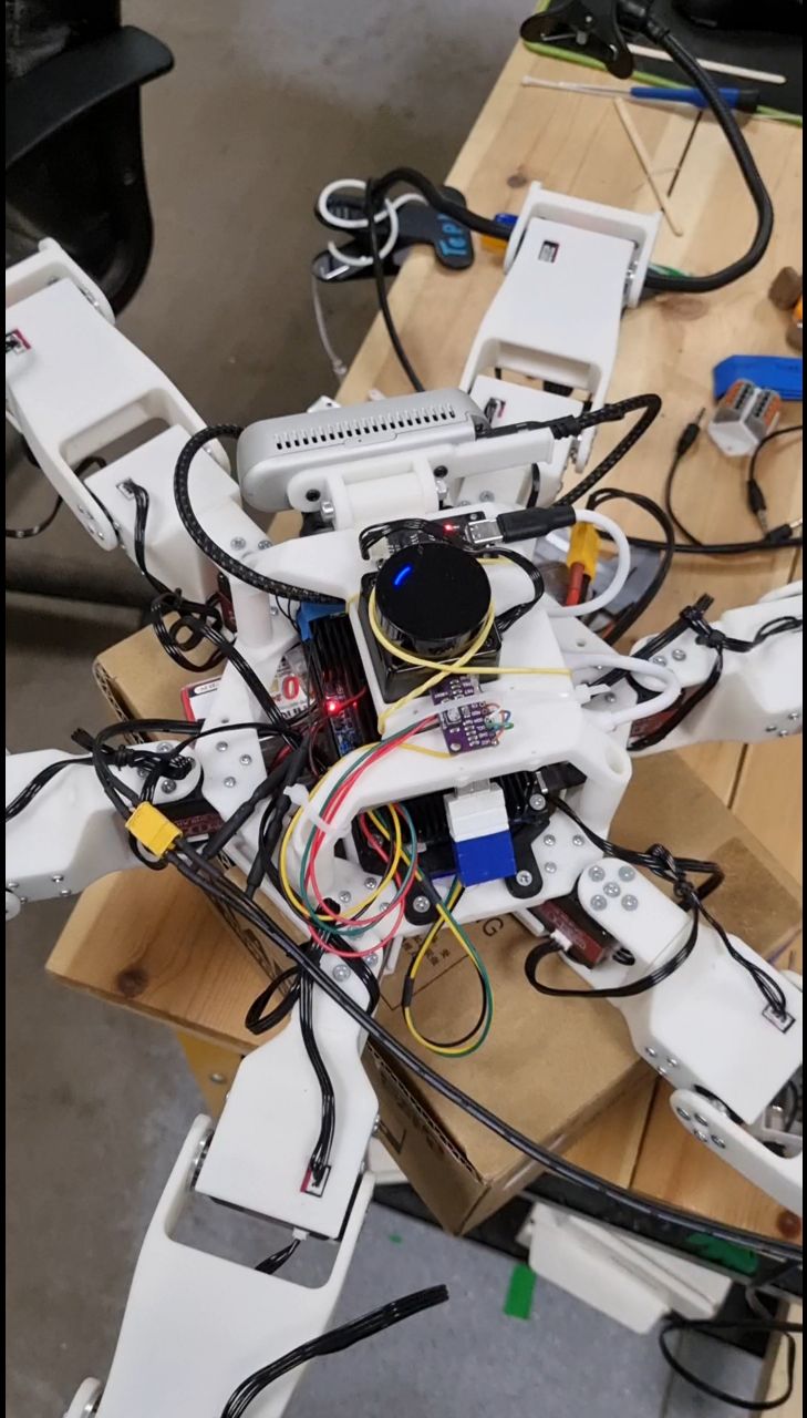 CRAZYBOTS в LOOKY. #робот,#роботы,#робототехника,#гексапод,#robot,#robotics,#crazybots,#технологии,#ии,#ai. #робот #роботы #робо...