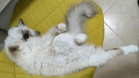 sacredbirman в LOOKY. . 🙈
