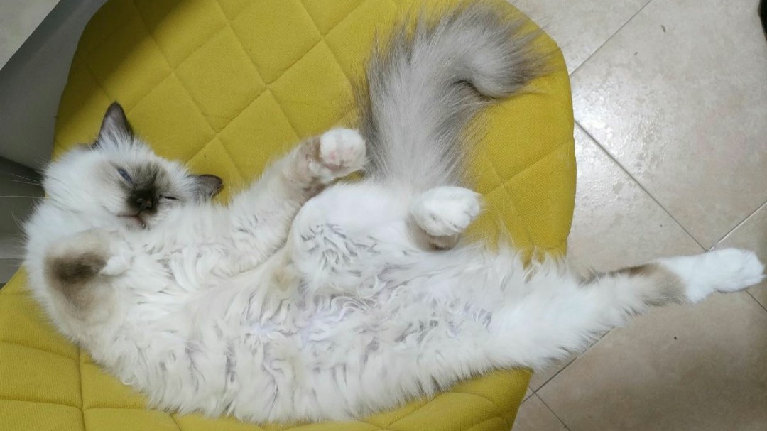sacredbirman в LOOKY — 🙈