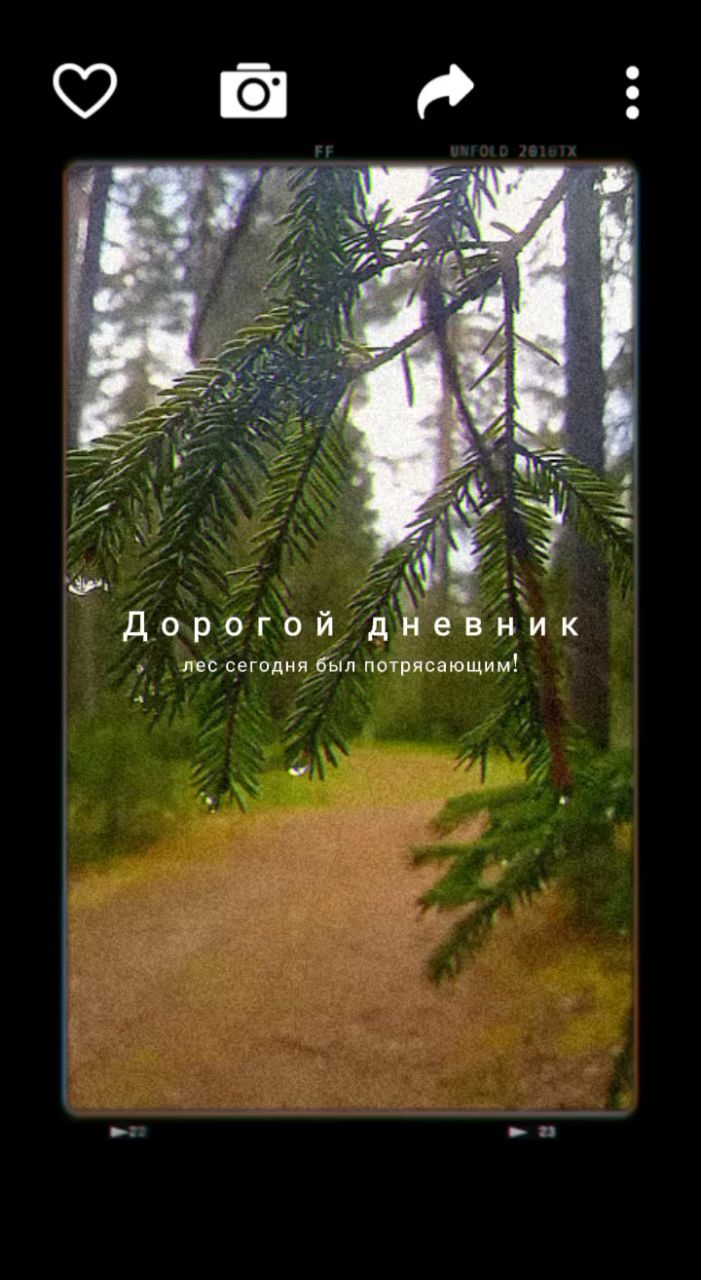 ЛисЪ в LOOKY. . [#foresttime ](fores...