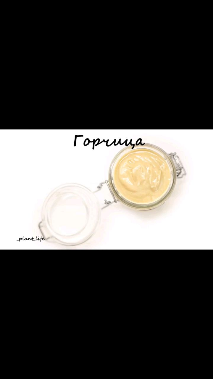  в LOOKY — ❗ГОРЧИЦА❗

Сборники с рецептами можно найти тут - https://an