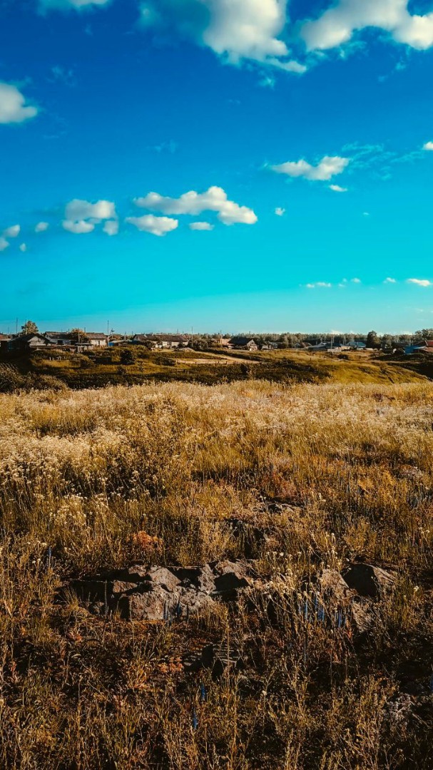 #naturelovers #naturephotography #photography #lookslikefilm #filmwave #фотография #россия #природапрекрасна #рекомендации #LOOKY_official #looky