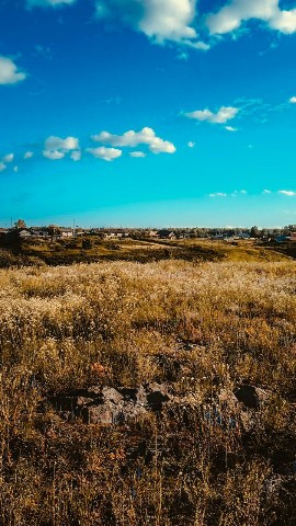 noakkkatt в LOOKY. #naturelovers,#naturephotography,#photography,#lookslikefilm,#filmwave,#фотография,#россия,#природапрекрасна,#рекомендации,#LOOKY_official,#looky. #naturelovers #natur...