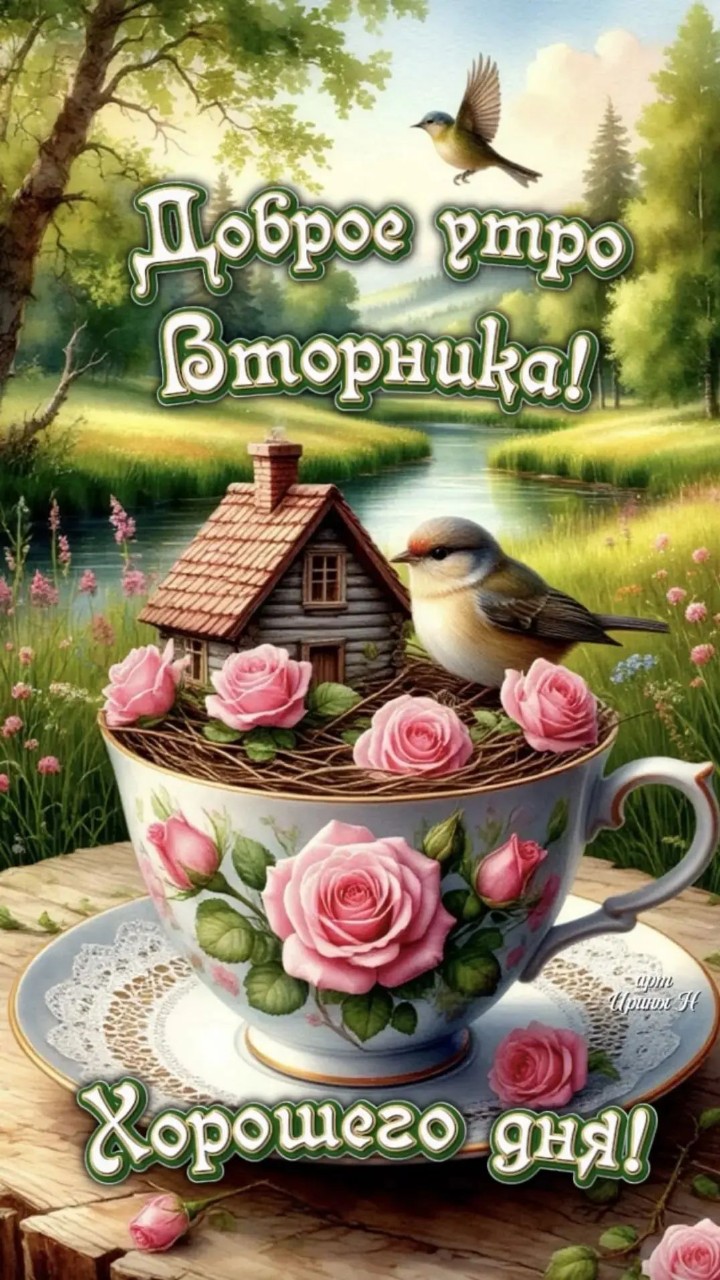  в LOOKY — публикация