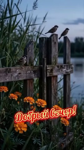  в LOOKY — публикация