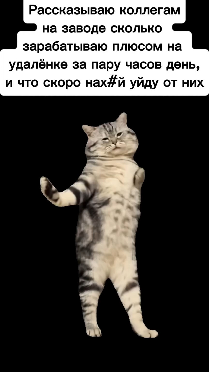 Настя_Кисс в LOOKY. #открываюмир,#лучшаяверсиясебя,#работадома,#рабочиемоменты,#фриланс,#заработоконлайн. Ищешь дополнительный...