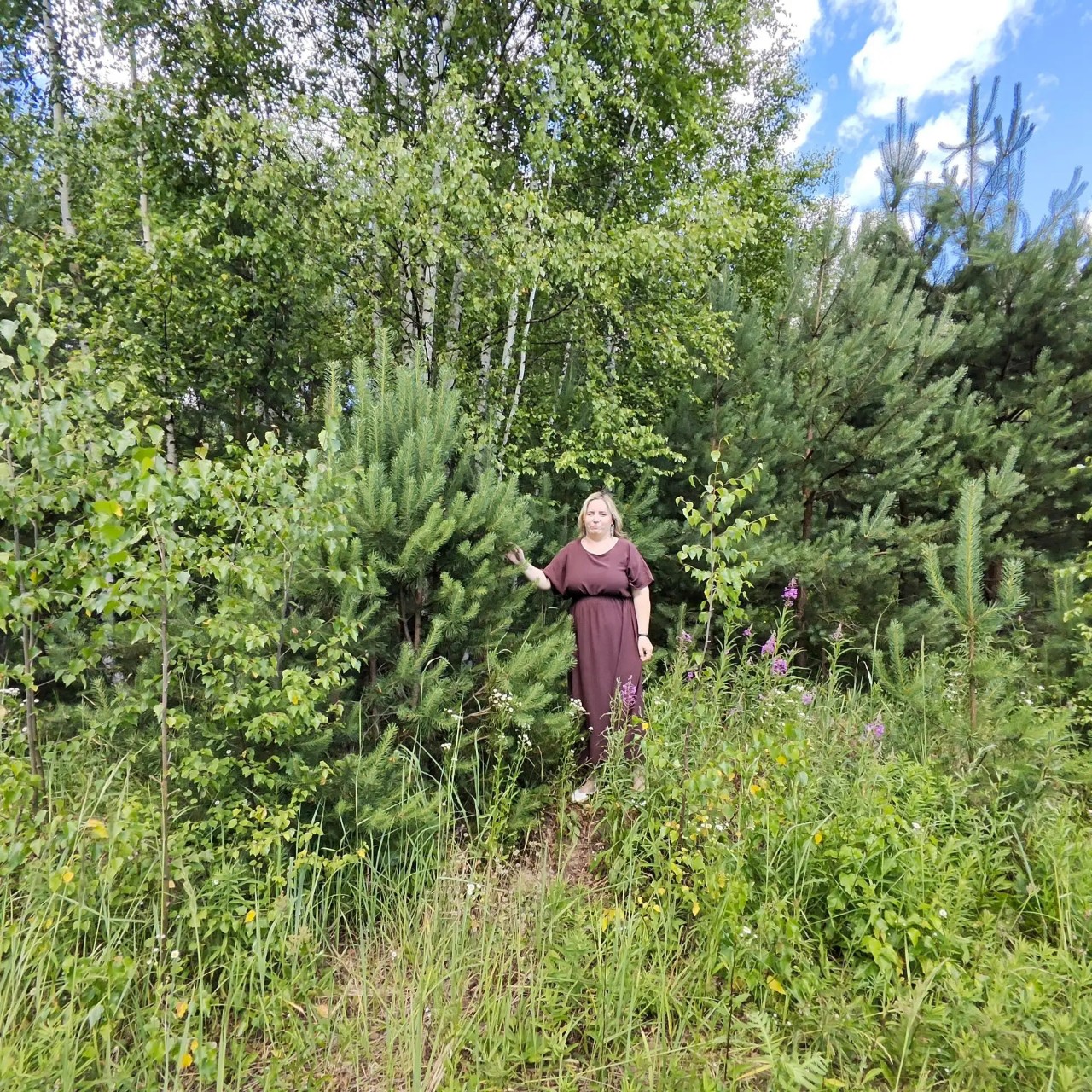 Bastet в LOOKY — публикация