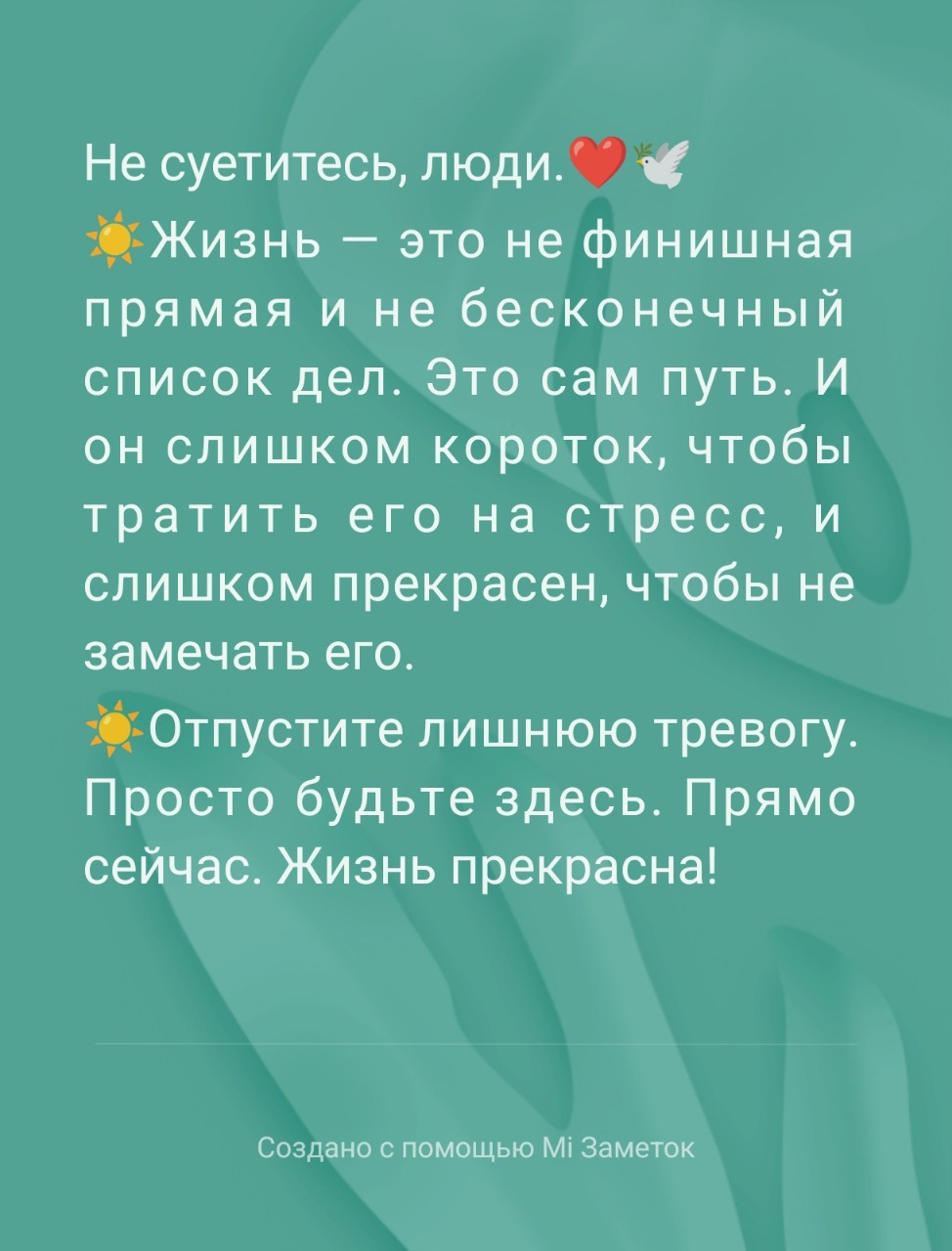Tatiana Ubushaeva в LOOKY — публикация