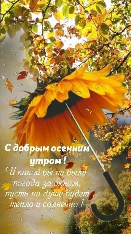 Сириус