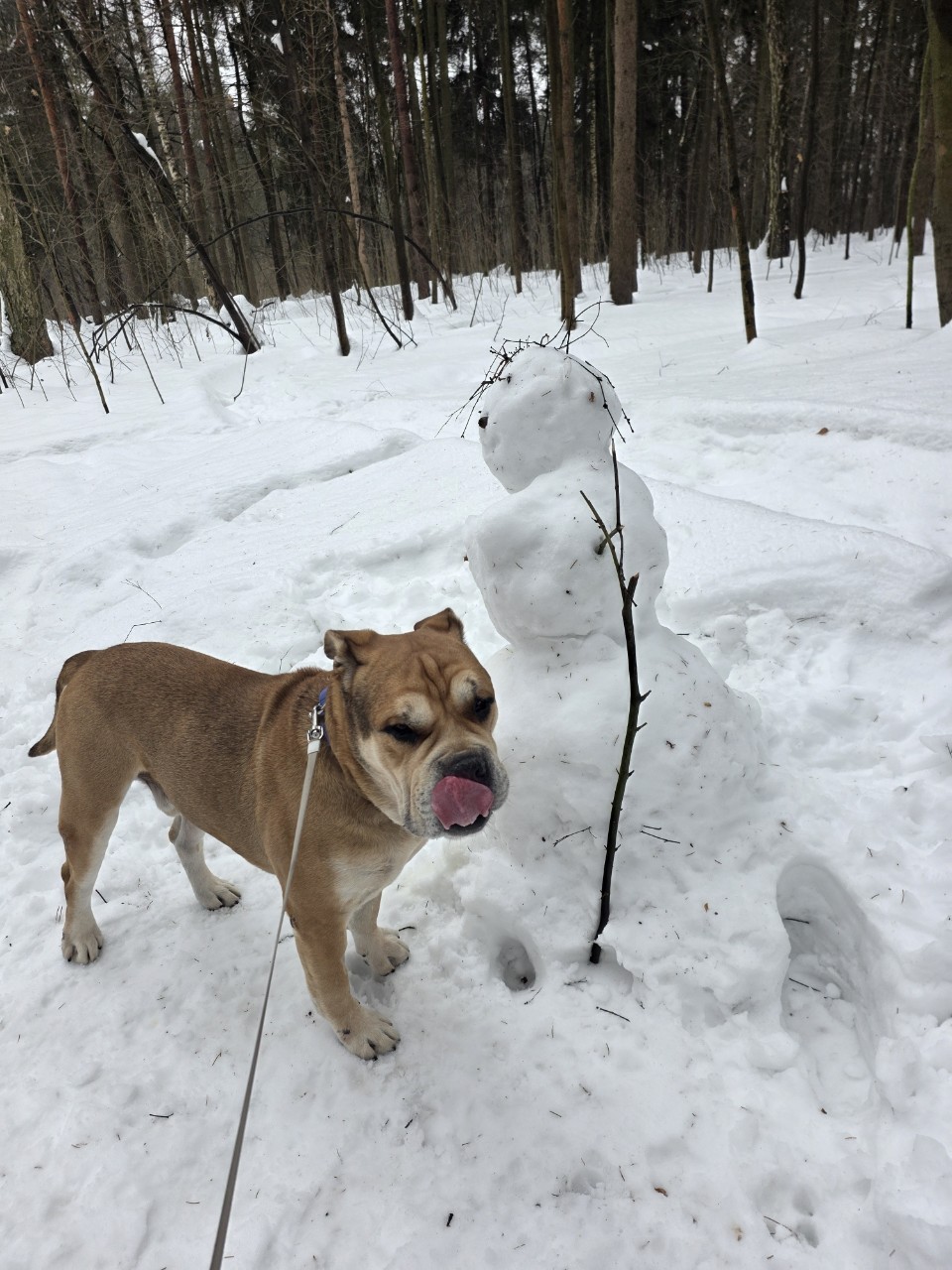 anbarinova в LOOKY. . Зима не сдаётся;)
