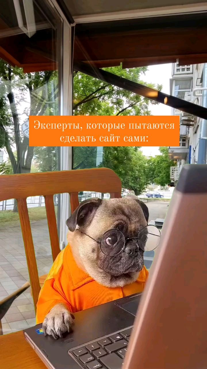 elenaivanenkos в LOOKY. . Эксперты, которые пы...