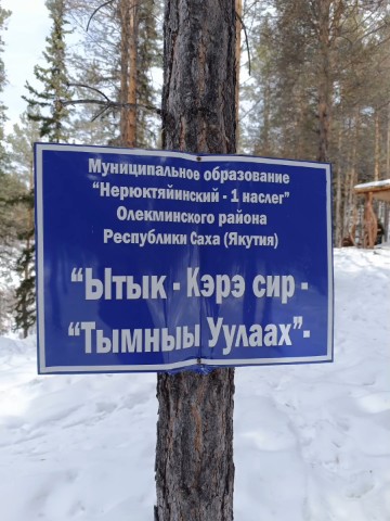 Looky_1709163514077 в LOOKY. . 