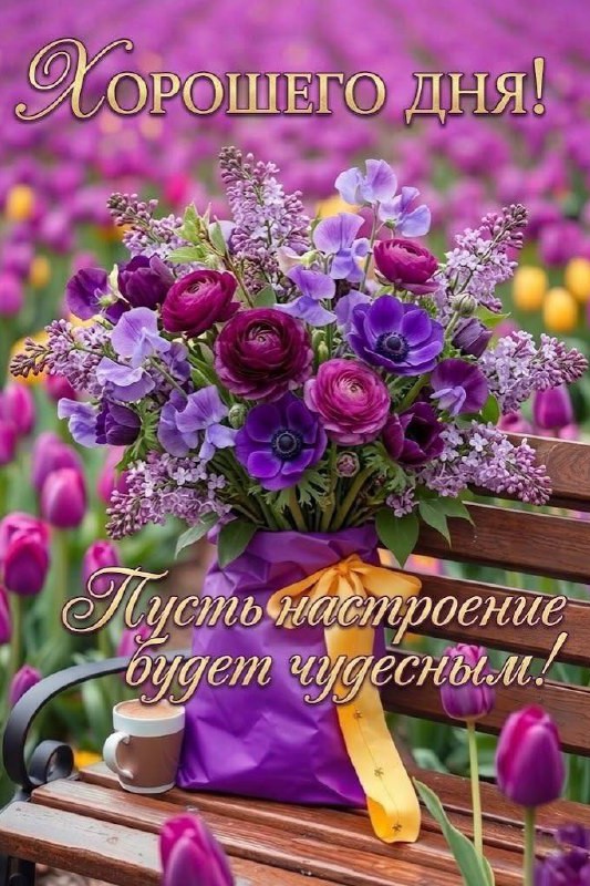 Аля Бик в LOOKY — публикация