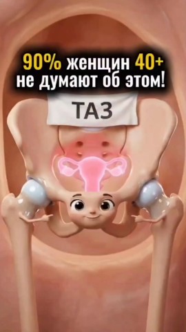 gulsun_pro в LOOKY. . ⬆️Таз и матка: архит...
