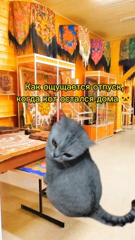 Lu_region42 в LOOKY. #кот,#безкотажизньнета,#отпуск,#центральнаяРоссия. У меня так, а у вас ...