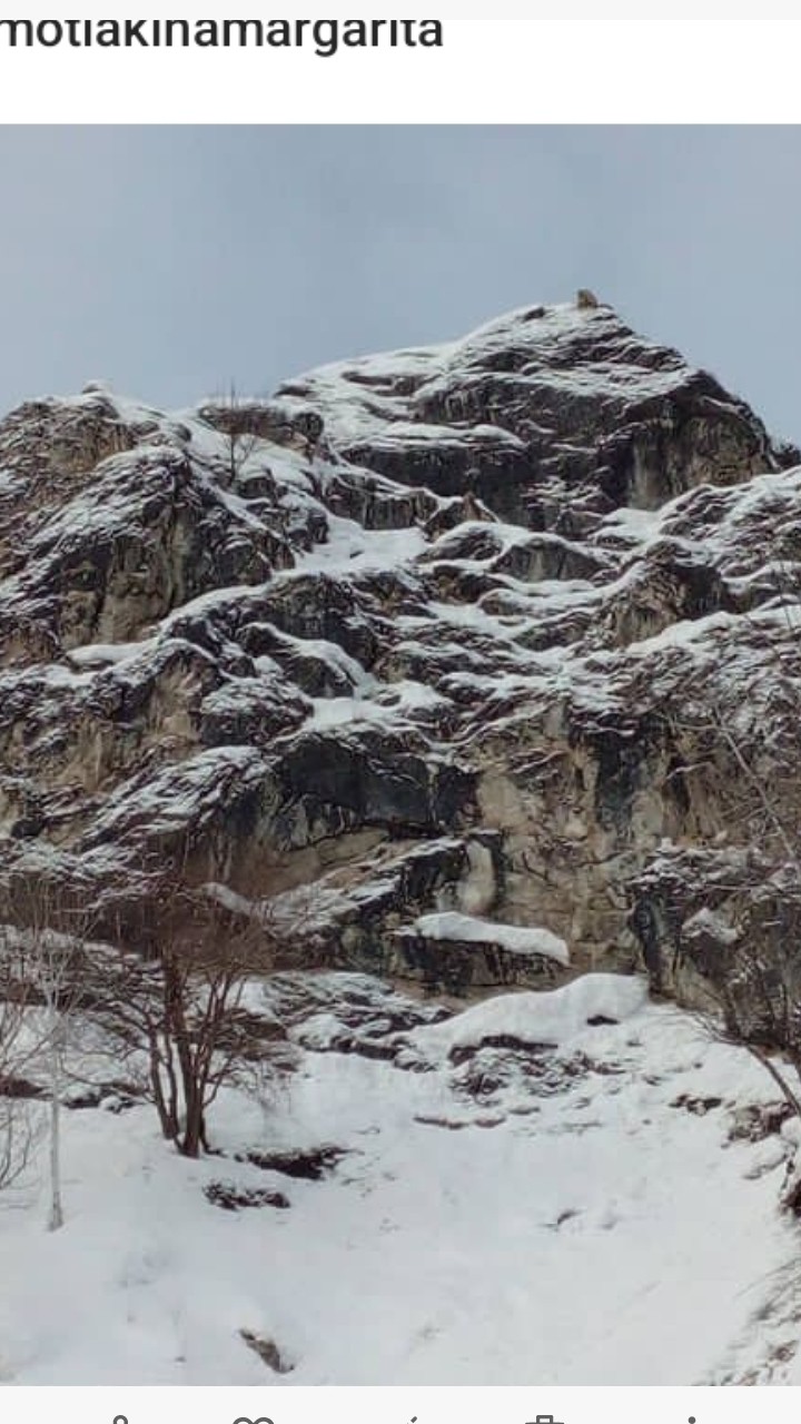 Маргарита в LOOKY — публикация