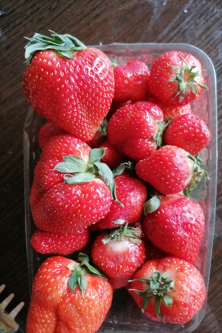 Любимая клюбника🍓