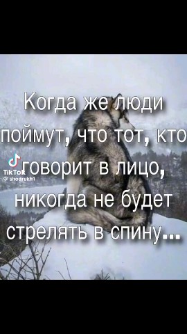 Looky_176466945902530 в LOOKY. . 