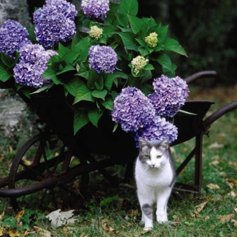Looky_174876449121395 в LOOKY. . 