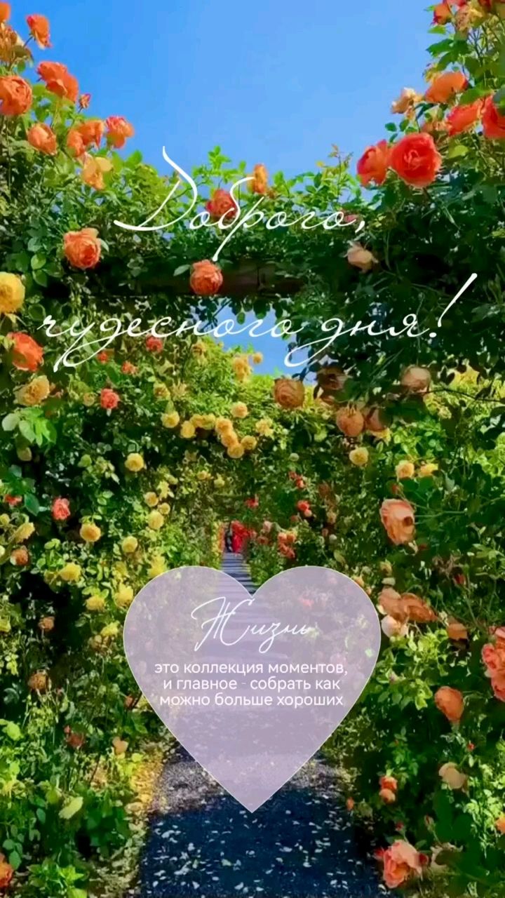 Svet_ya_ в LOOKY — ☀️🌸«Каждый день — это маленькая жизнь. Проживи ее так, будт
