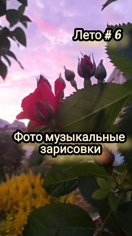 Светлана Сироткина в LOOKY. . "Там, где закат целу...
