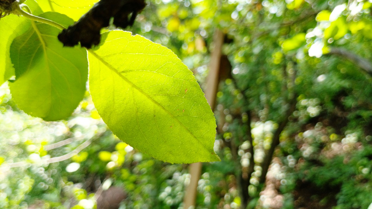 snovozhilov91 в LOOKY — фото 2