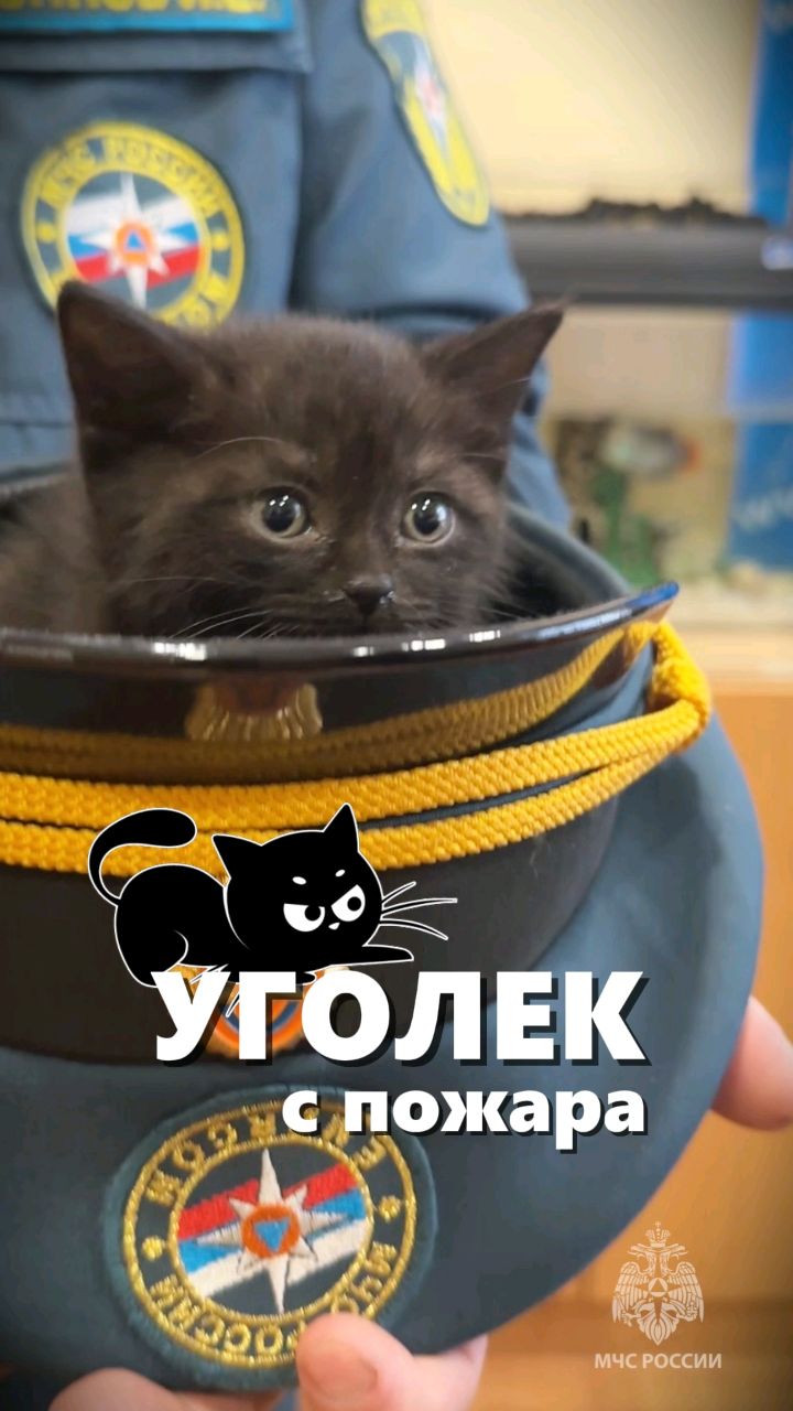 mchs18 в LOOKY. . Поставь лайк, этому ...