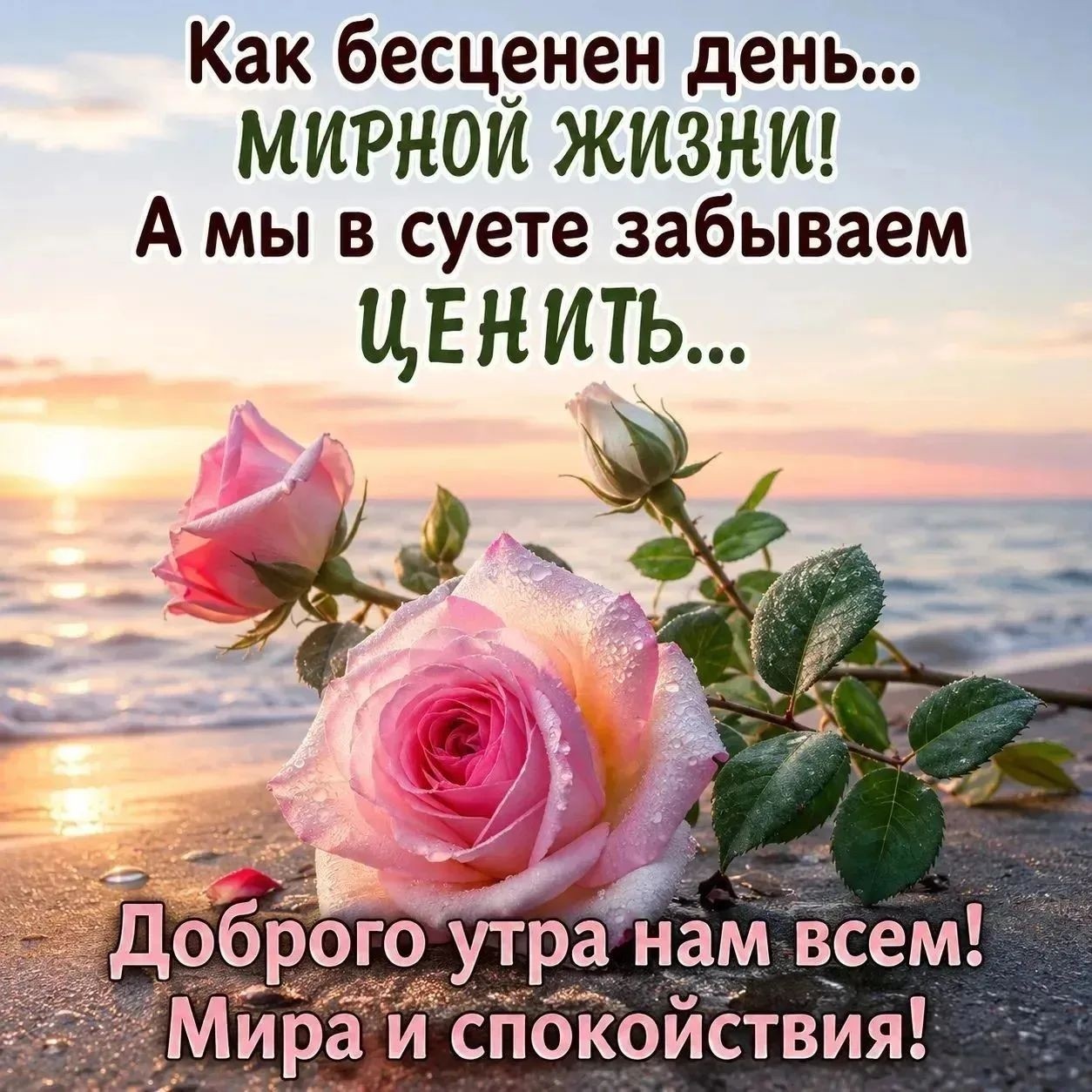 ДедМед в LOOKY — публикация
