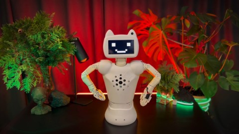CRAZYBOTS в LOOKY. #робот,#роботы,#робототехника,#стартап,#robot,#robotics,#crazybots,#технологии,#ии,#ai. Робот Chatty в режим...