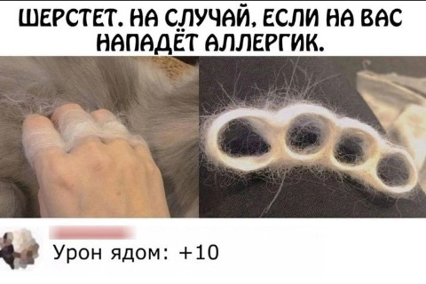 Looky_178917945904960 в LOOKY. . 